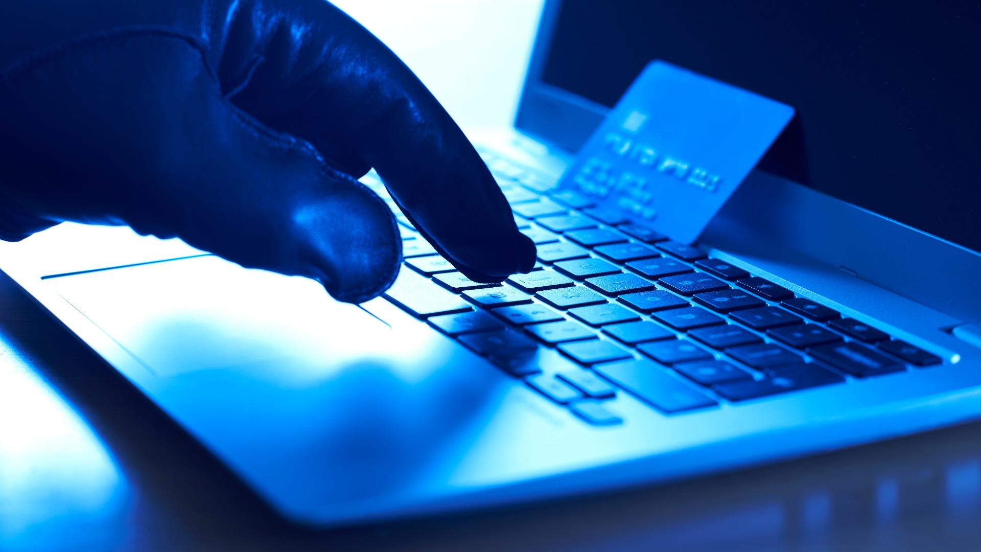 Online Fraud Prevention adalah