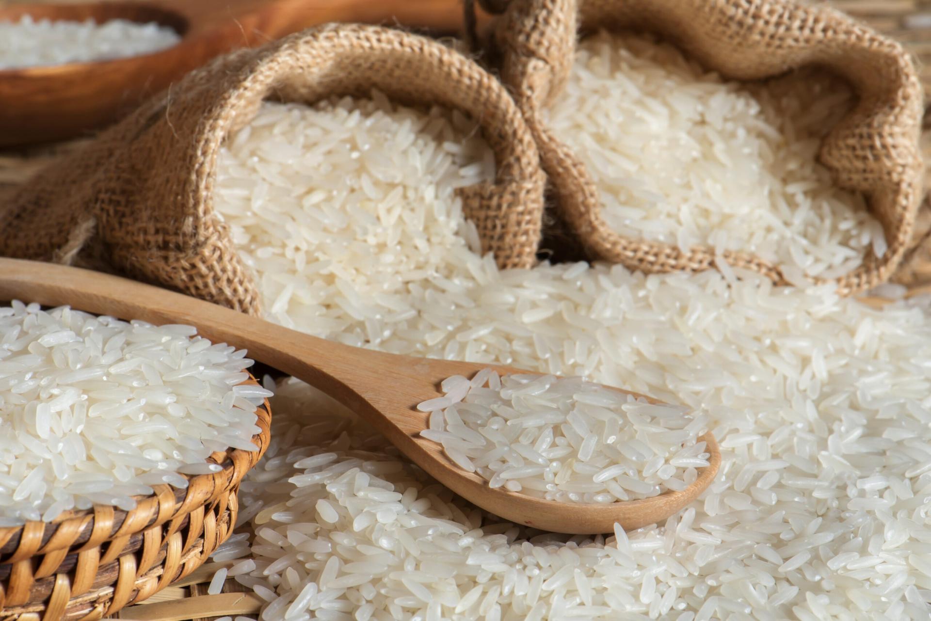 Harga beras 12 september