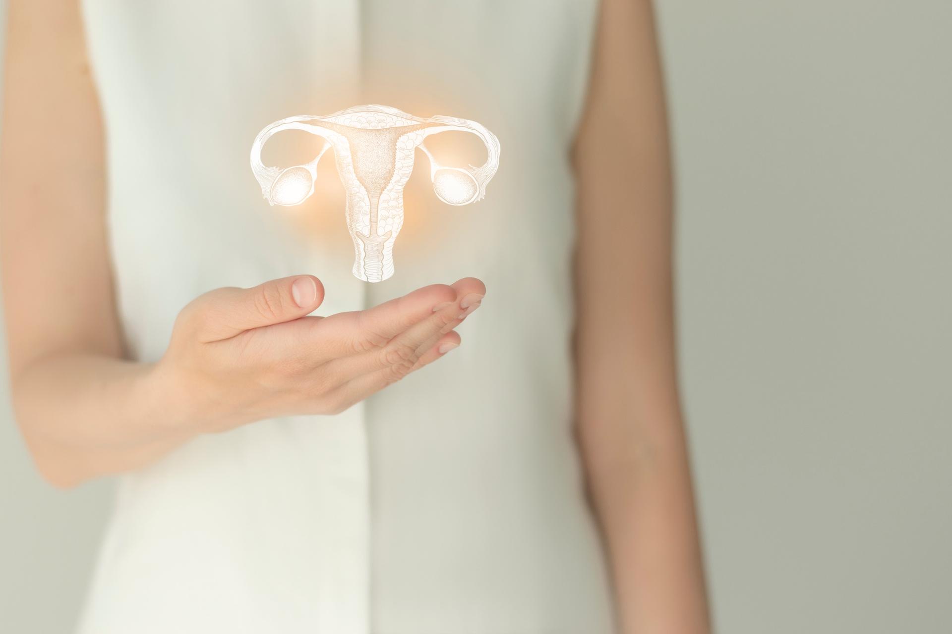 bayer edukasi kesehatan reproduksi