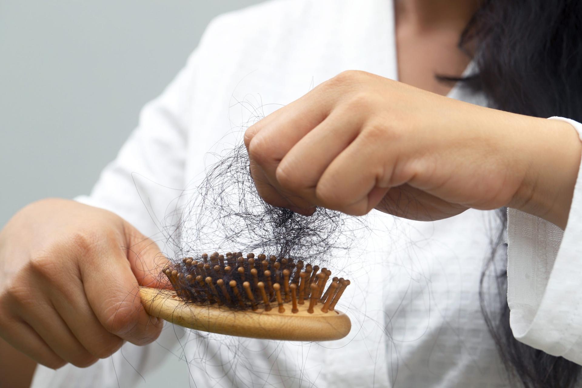 matcha rambut rontok