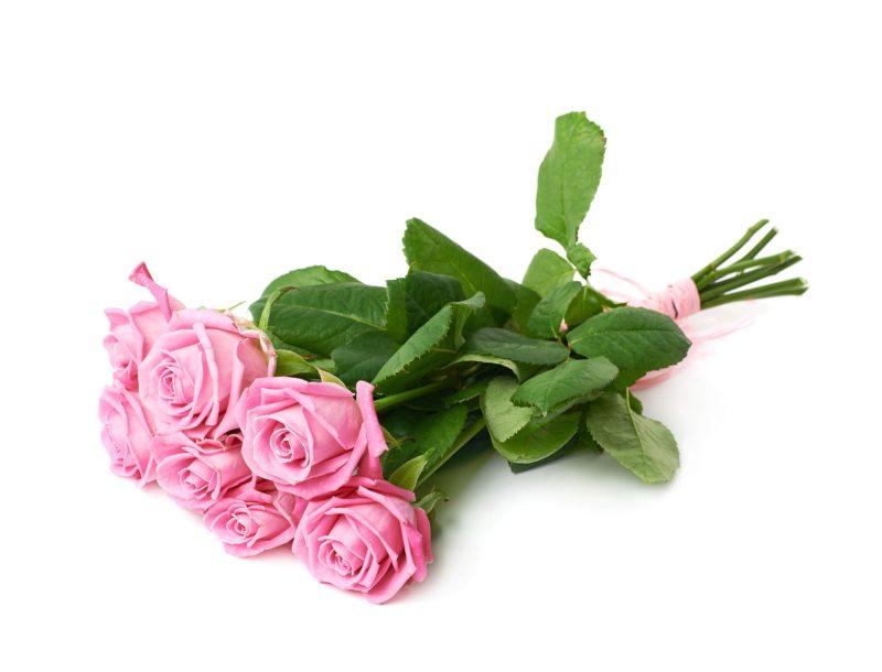 Belajar Bisnis Bunga