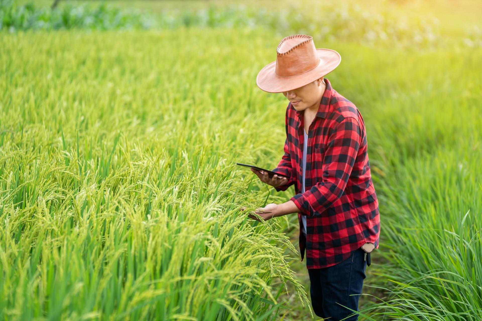 kemitraan closed loop