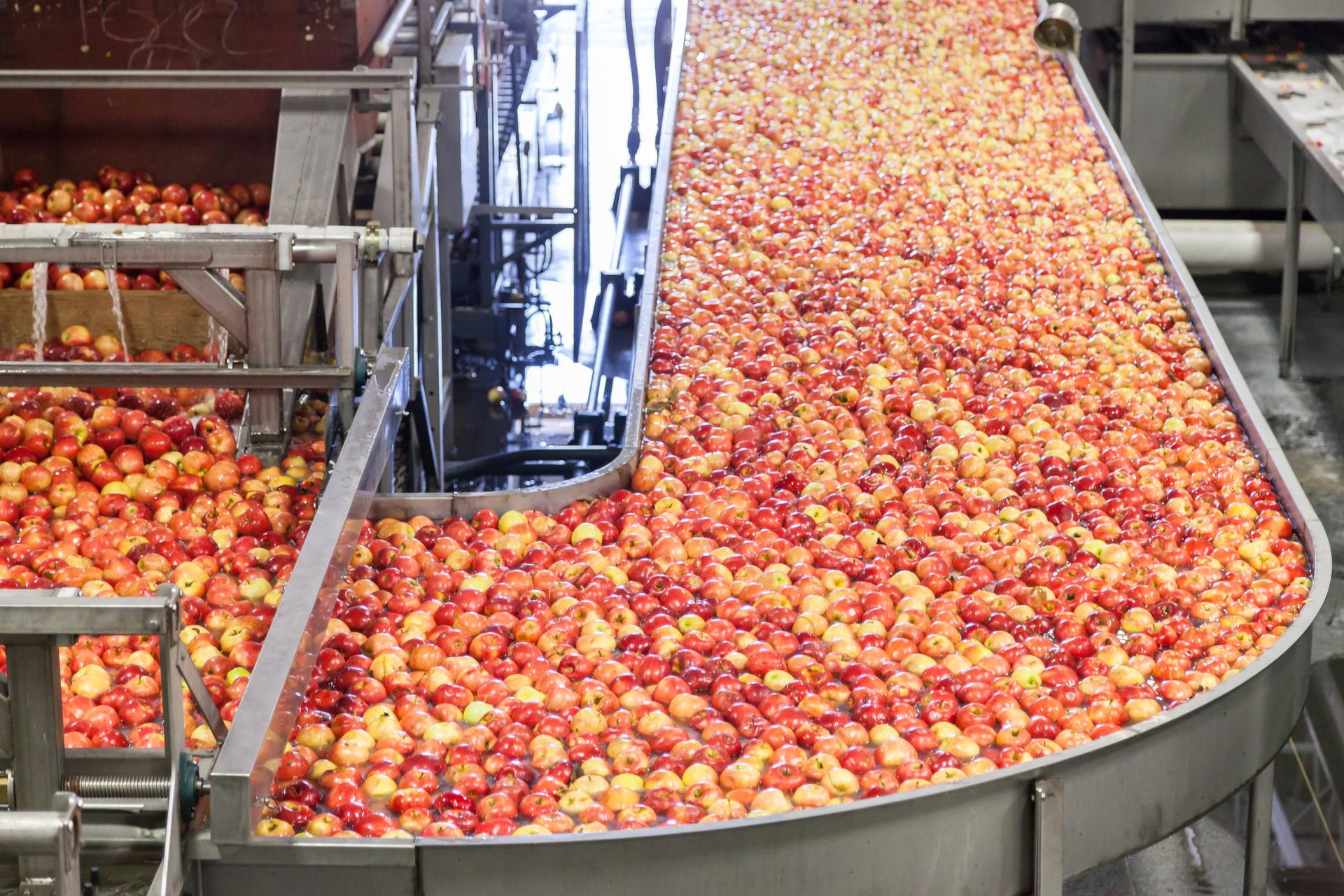 Industri Olahan Sari Buah