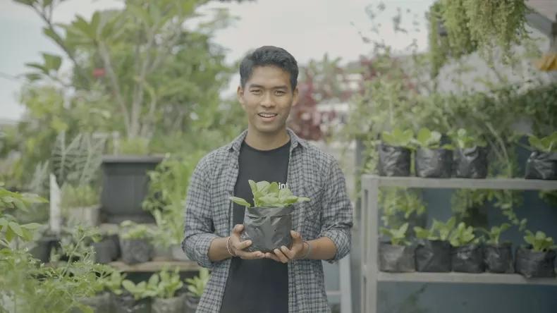 Infarm Berkebun