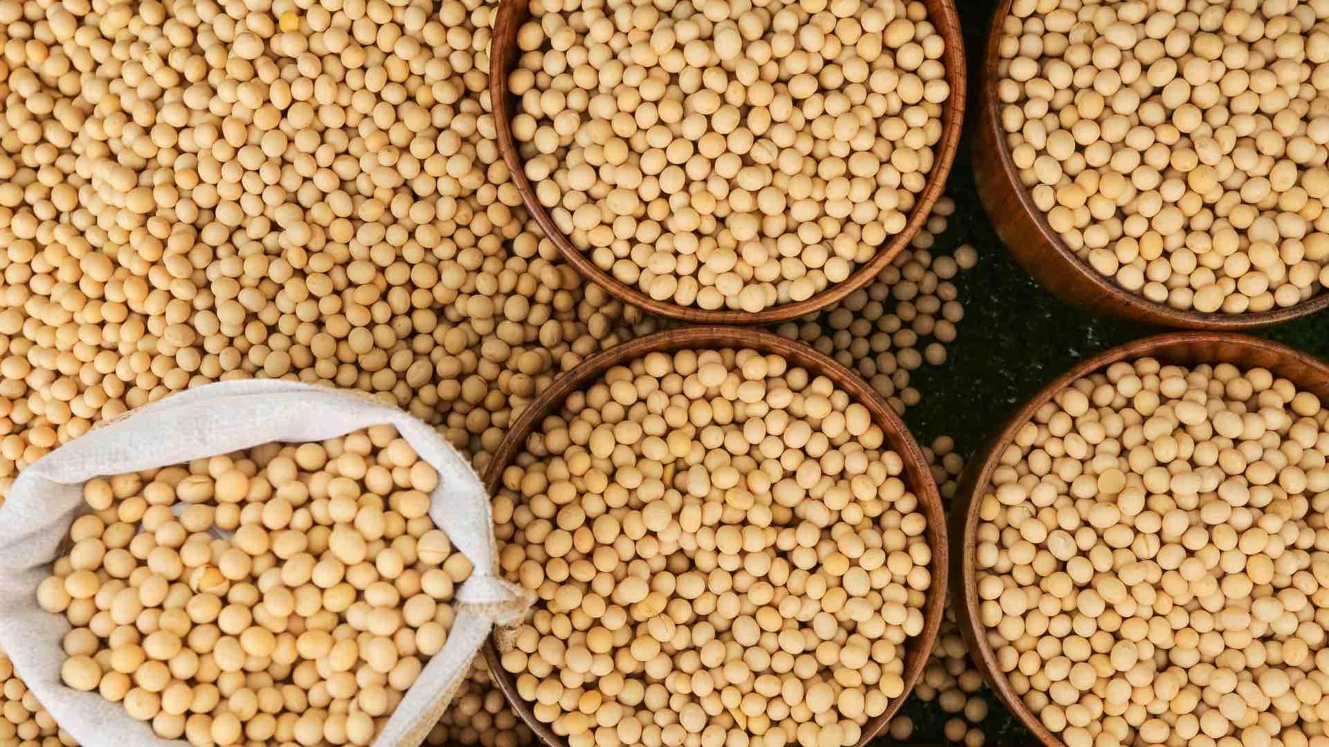 Ilustrasi harga kedelai nasional Kemendag