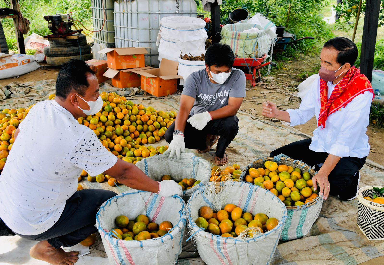 Presiden Joko Widodo menekankan kebutuhan infrastruktur jalan raya untuk meningkatkan daya saing komoditas lokal