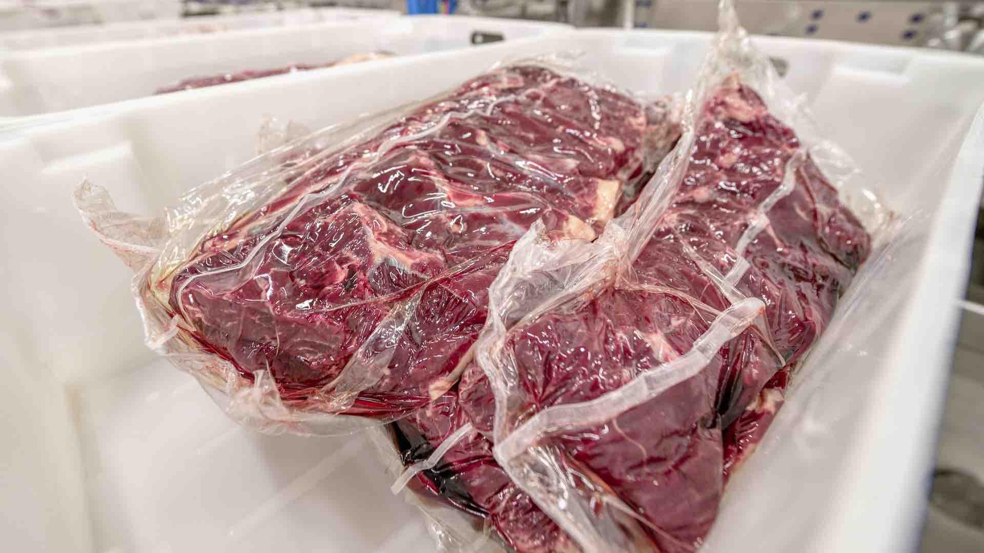 ilustrasi koordinasi komoditas harga pangan daging sapi