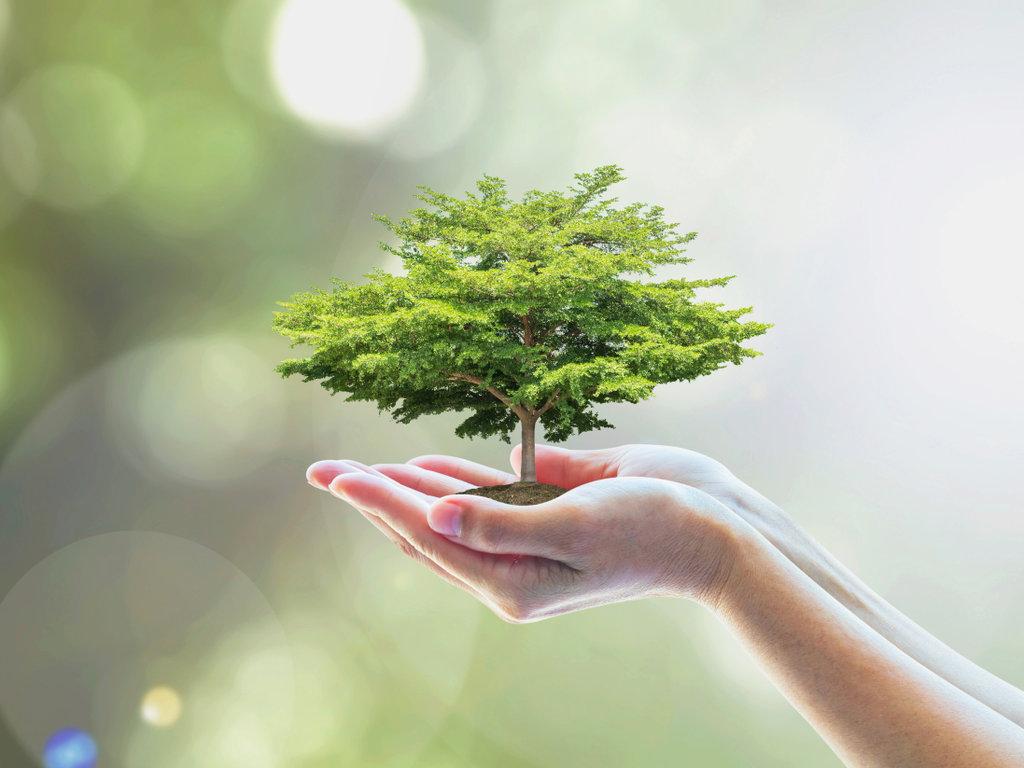 Ilustrasi MMS Group bangun bisnis berkelanjutan