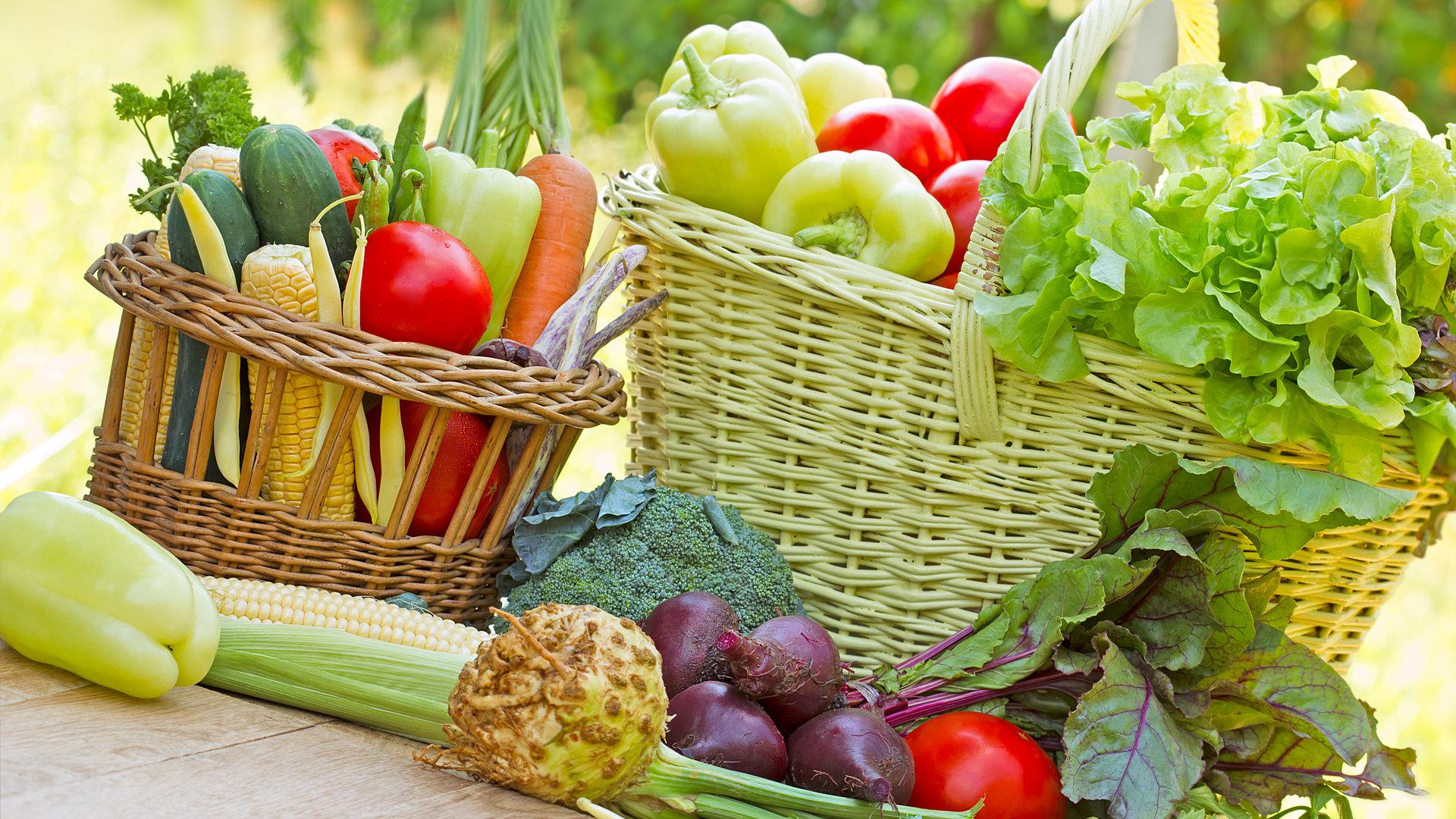 Potensi Pangan Organik Indonesia Terbentur Kesediaan