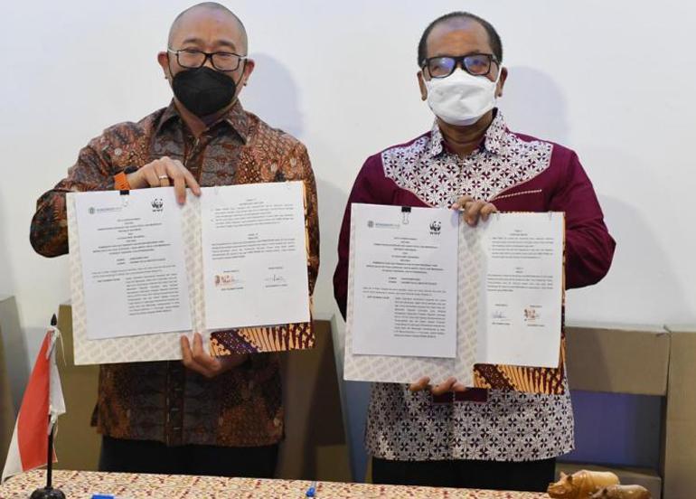 kemenkopukm wwf indonesia