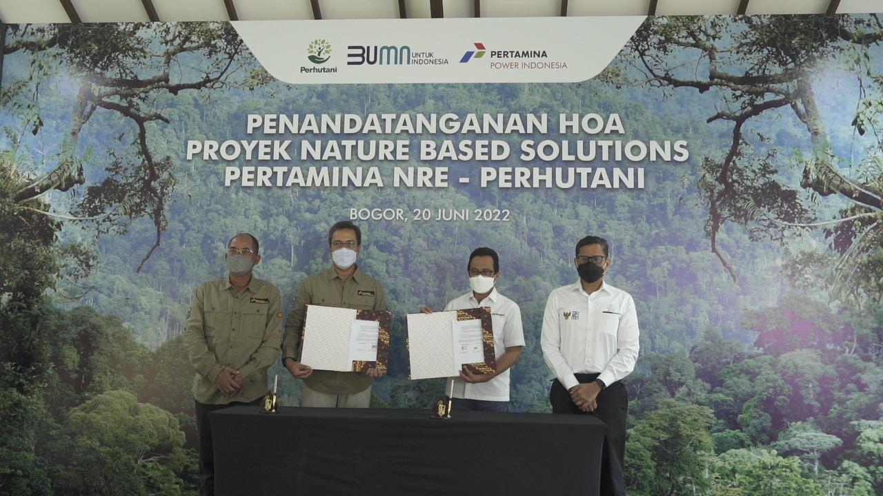 pertamina nre perhutani