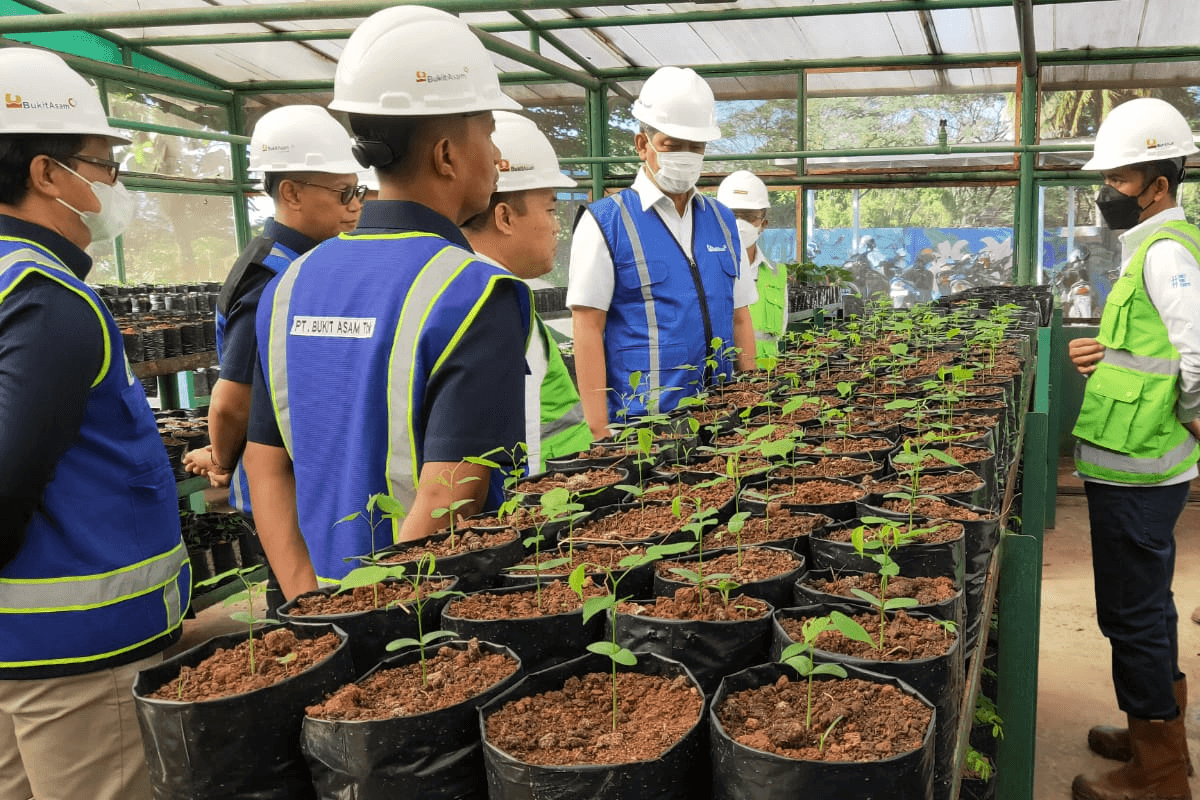 PTBA Botanical Garden