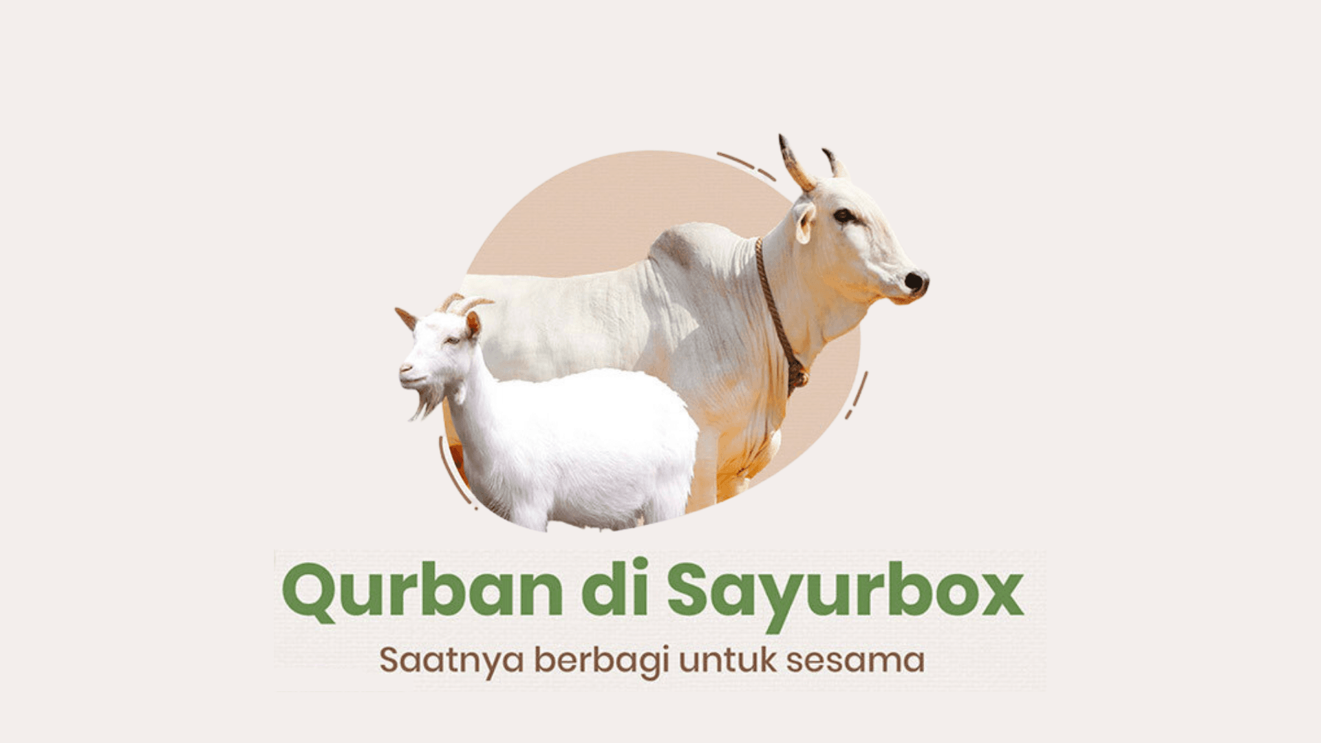 Sayurbox Dompet Dhuafa Kurban