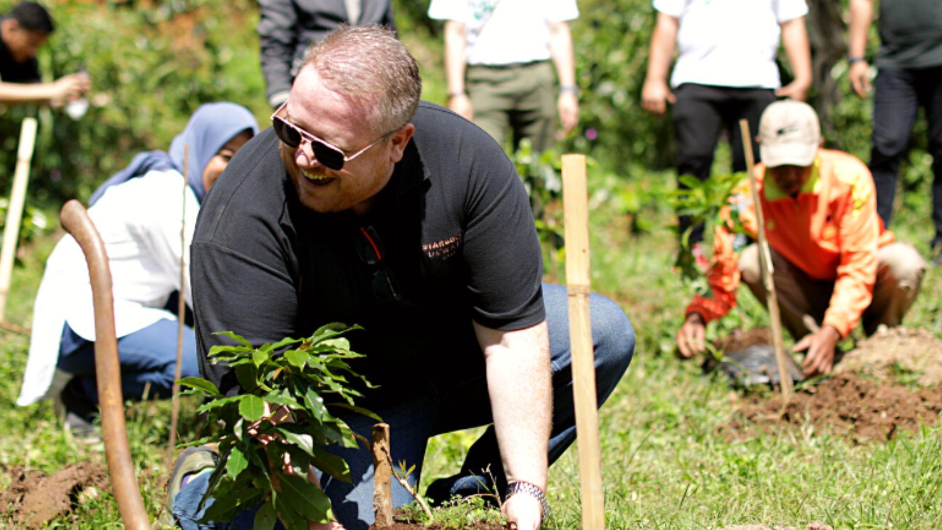 Starbucks Bibit Kopi