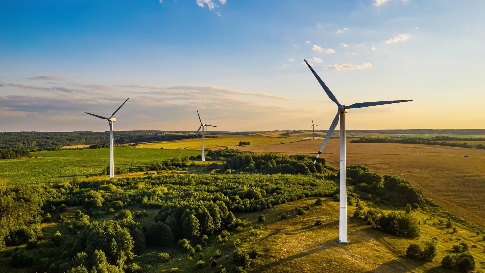 Nestle Indonesia Soal Sustainability: Mahal, Tapi Nanti Lebih Mahal