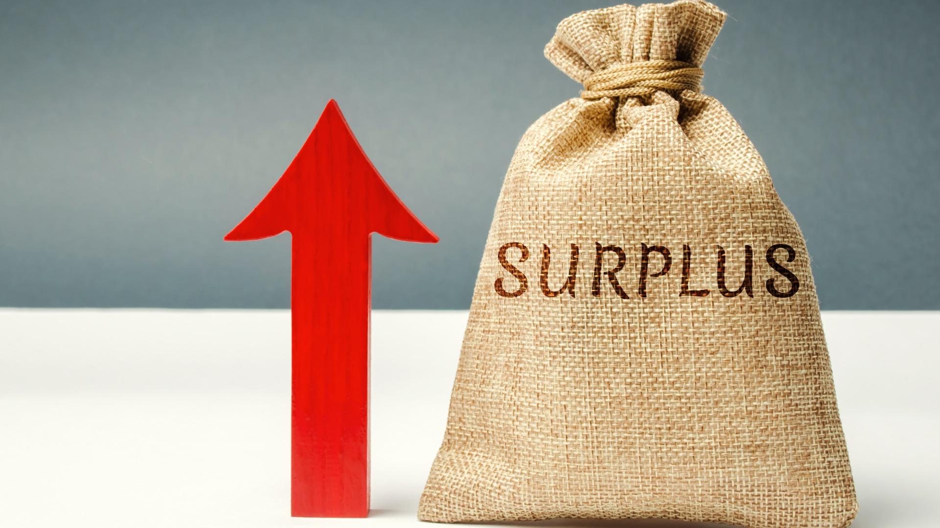 surplus adalah