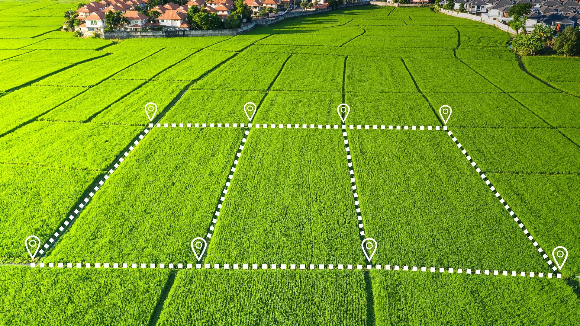 CIPS: Kebijakan Pertanian Perlu Selaras dengan Penurunan Emisi Karbon