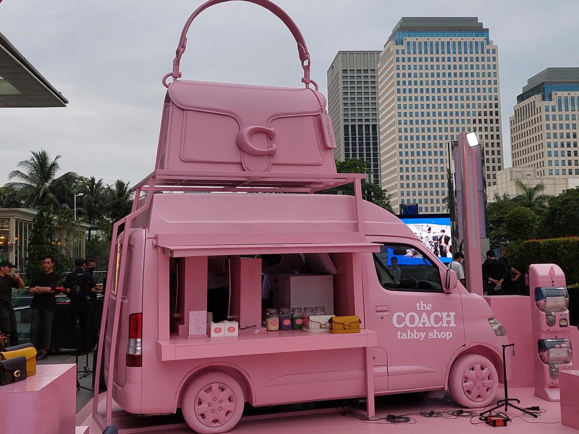 The Coach Tabby Tour