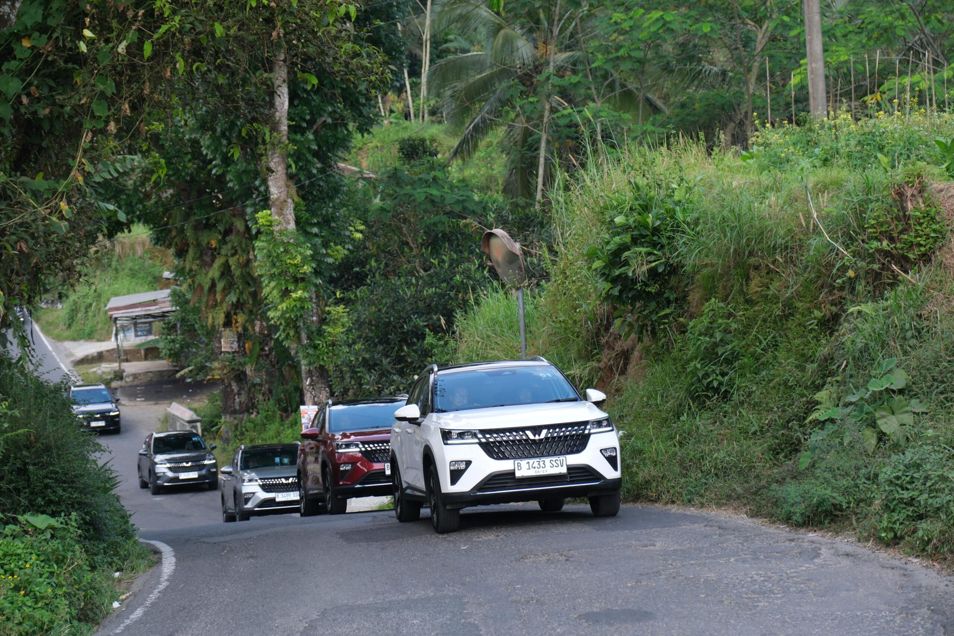 Review Wuling Alvez EX