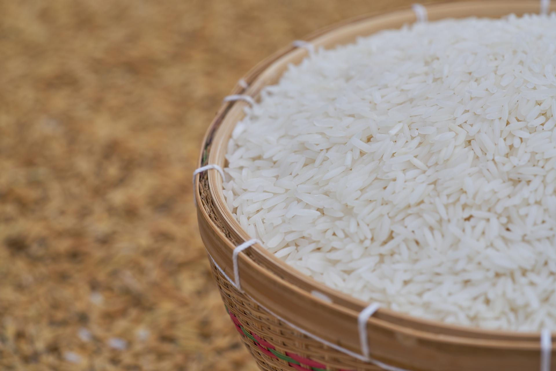 harga beras 20 agustus